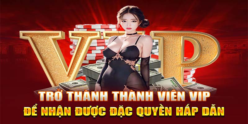 Bí quyết thăng hạng trong ưu đãi độc quyền VIP